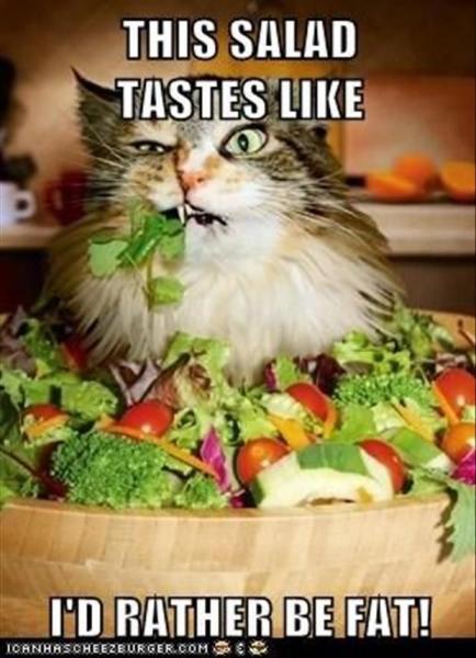 post-1083-0-33289300-1430258876_thumb.jp