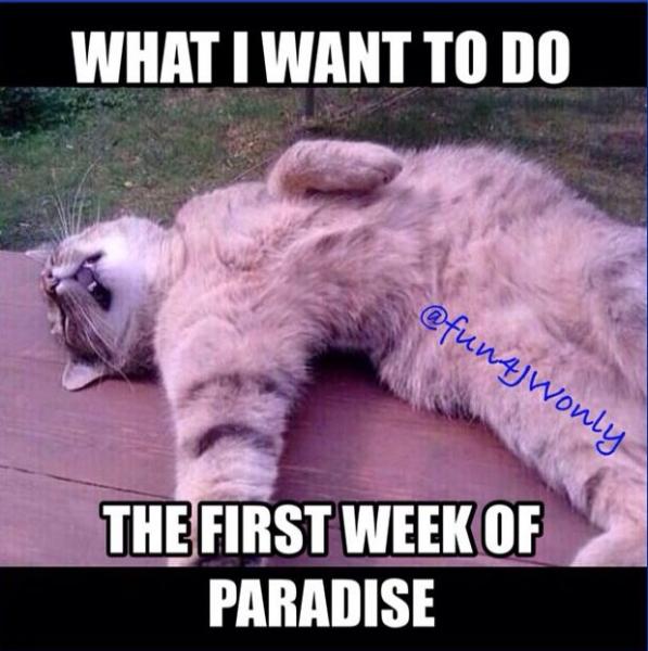 post-1083-0-86954200-1430076522_thumb.jp