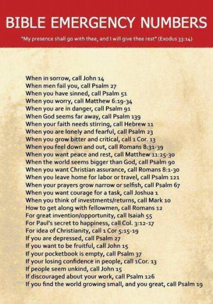 post-1294-0-18531100-1428664932_thumb.jp