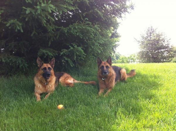 post-3423-0-29166500-1429107085_thumb.jp