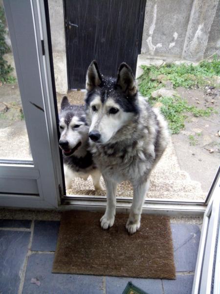 post-3805-0-42215400-1429092064_thumb.jp