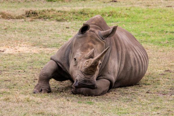 post-4085-0-84025000-1429781512_thumb.jp