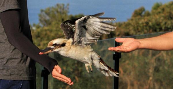 post-4085-0-87647500-1430189988_thumb.jp