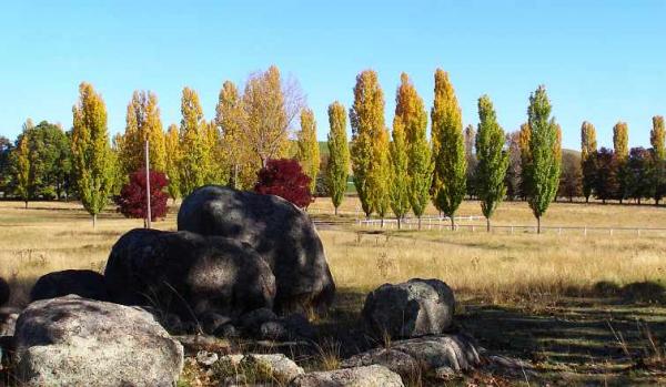 post-4283-0-09136600-1429997317_thumb.jp