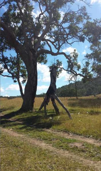 post-4283-0-29230300-1430187260_thumb.jp