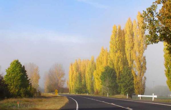 post-4283-0-63300900-1429763056_thumb.jp