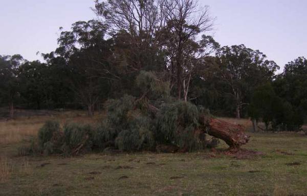 post-4283-0-86295900-1430208786_thumb.jp