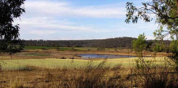 post-4283-0-91897300-1428414229_thumb.jp