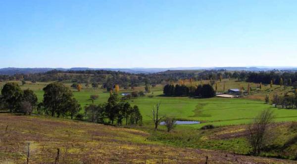 post-4283-0-95050000-1430242605_thumb.jp