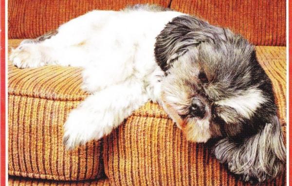 post-1015-0-03129700-1367845312_thumb.jp