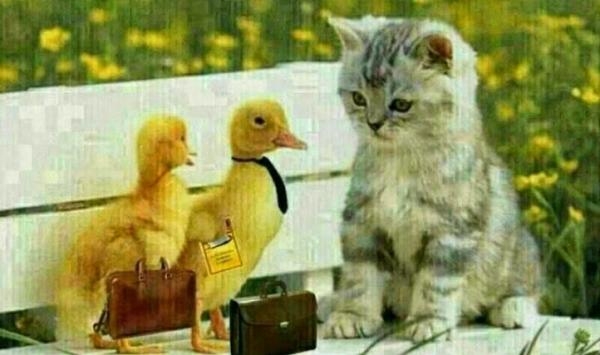 post-1015-0-78836200-1400249327_thumb.jp