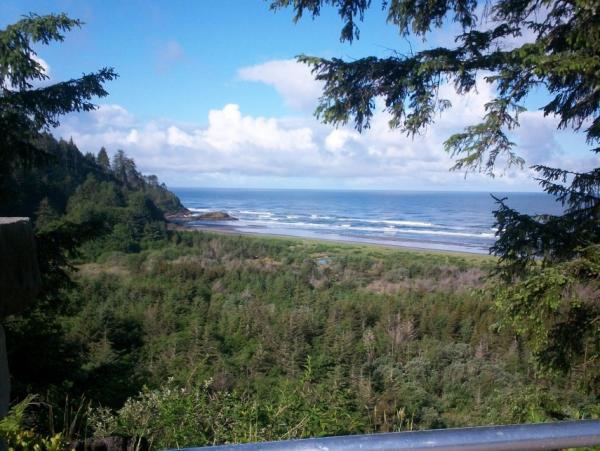 post-1083-0-38999000-1400529443_thumb.jp