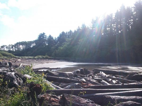 post-1083-0-59068300-1400529477_thumb.jp