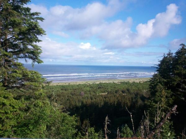 post-1083-0-93432000-1400529417_thumb.jp