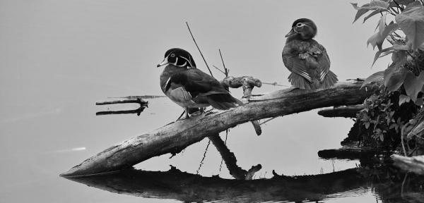 post-2074-0-13199800-1400862895_thumb.jp