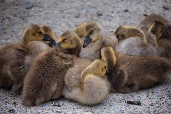 post-2074-0-45236200-1400525766_thumb.jp