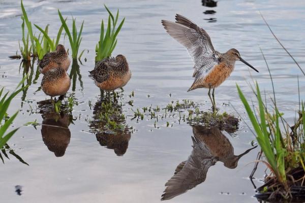 post-2074-0-50178700-1399346148_thumb.jp