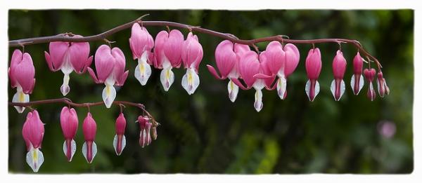 post-2074-0-57802600-1399959167_thumb.jp