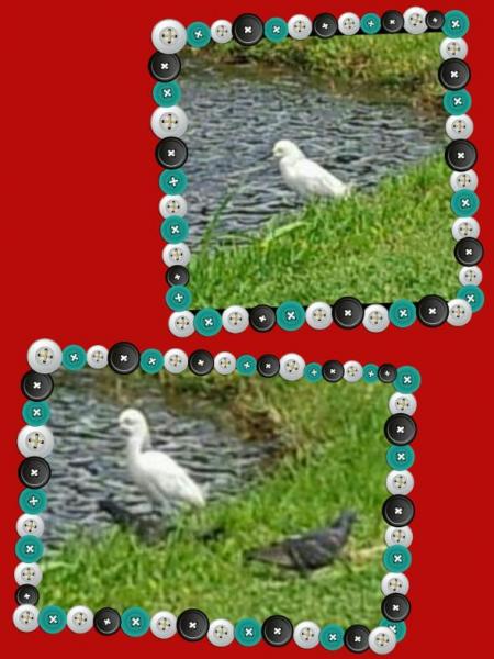 post-2322-0-08878800-1399995672_thumb.jp