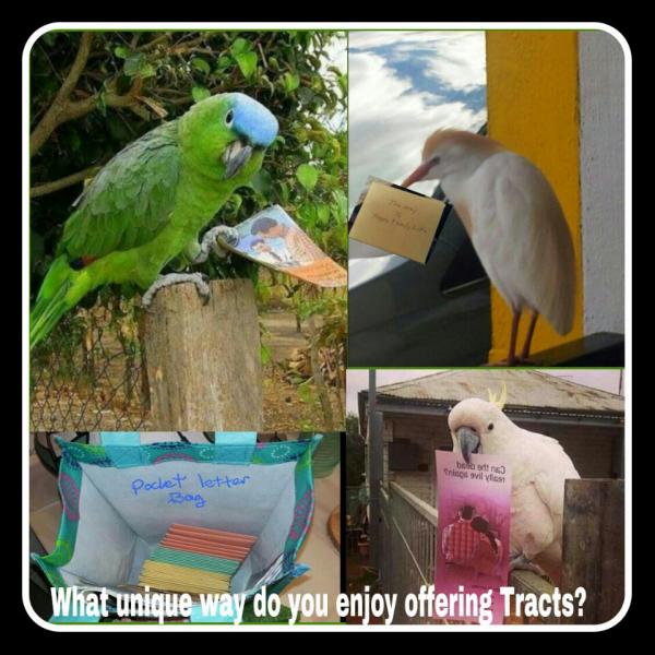 post-2322-0-12869100-1401541249_thumb.jp