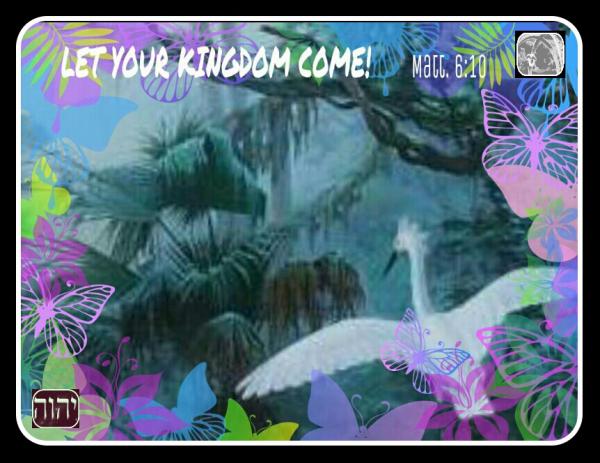 post-2322-0-84719300-1399664171_thumb.jp