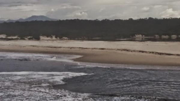 post-1015-0-10708400-1430745794_thumb.jp