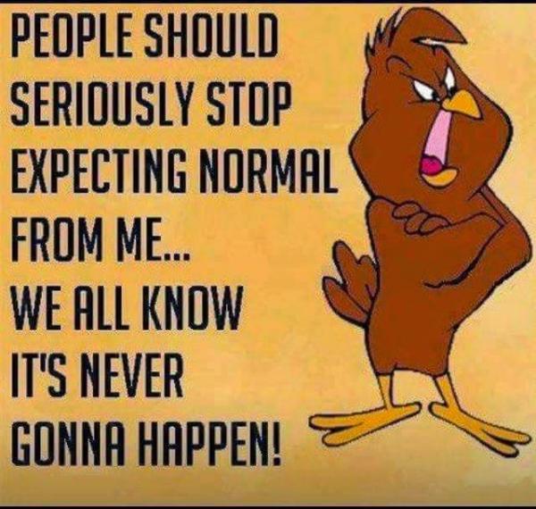 post-1015-0-35366700-1430489598_thumb.jp