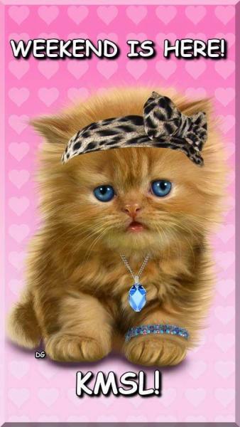 post-1015-0-45360800-1430489670_thumb.jp