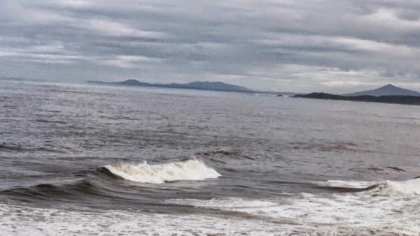 post-1015-0-48763500-1430744547_thumb.jp