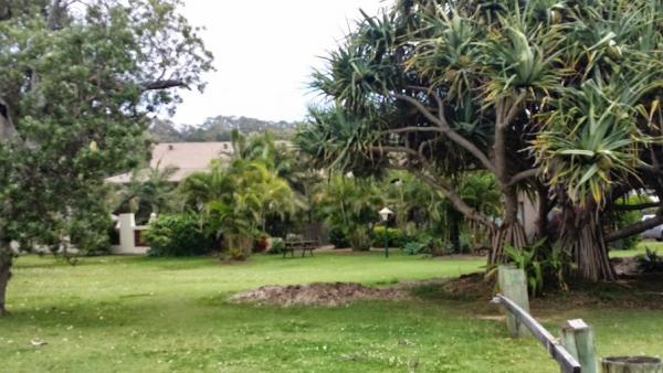 post-1015-0-50406400-1430745716_thumb.jp