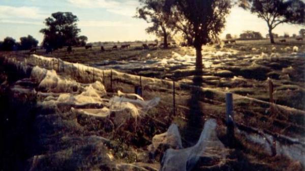 post-1015-0-67101700-1431981624_thumb.jp