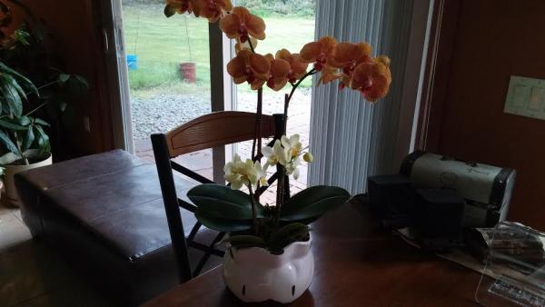 post-1083-0-10605200-1430452388_thumb.jp