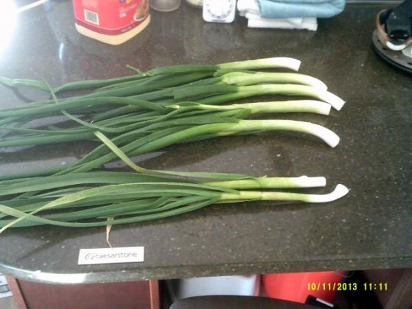 post-1083-0-25528100-1430668664_thumb.jp