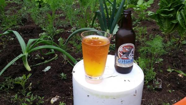 post-1083-0-29336600-1432599093_thumb.jp