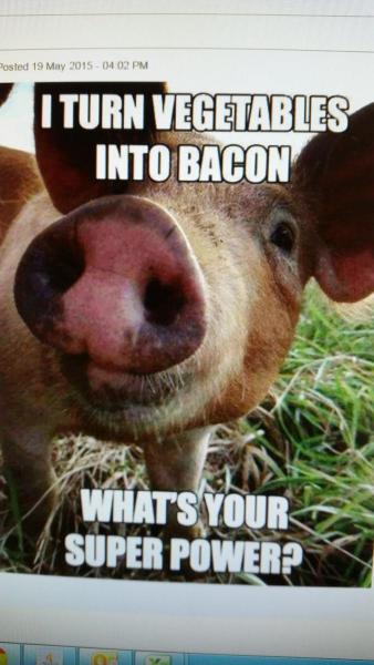 post-272-0-16699000-1432245877_thumb.jpe