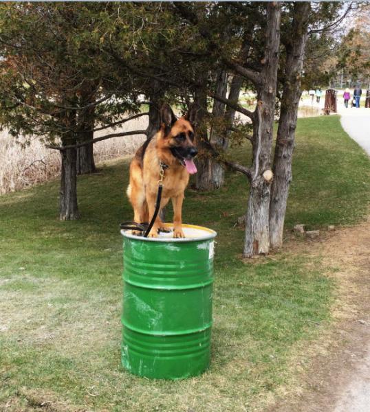 post-3423-0-16521300-1430743581_thumb.jp