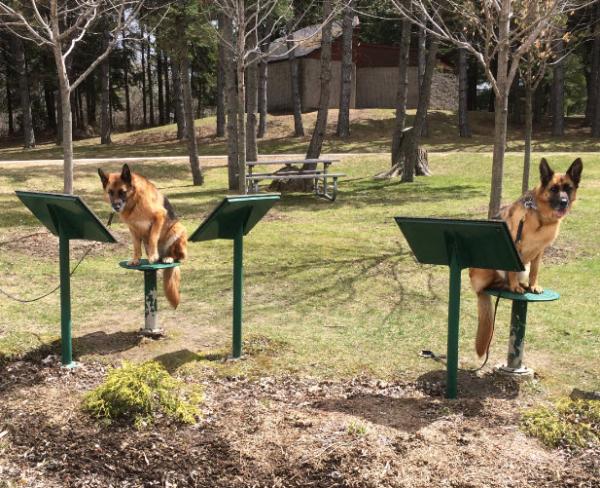 post-3423-0-48477200-1430743612_thumb.jp