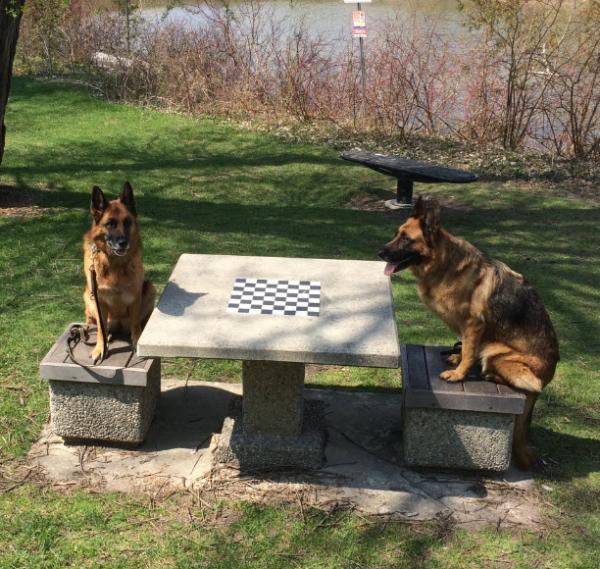 post-3423-0-75944100-1430743540_thumb.jp