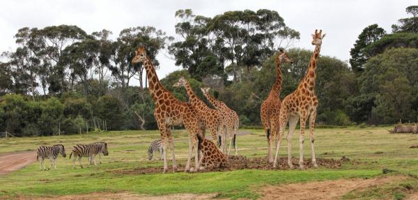 post-4085-0-23569800-1431517680_thumb.jp