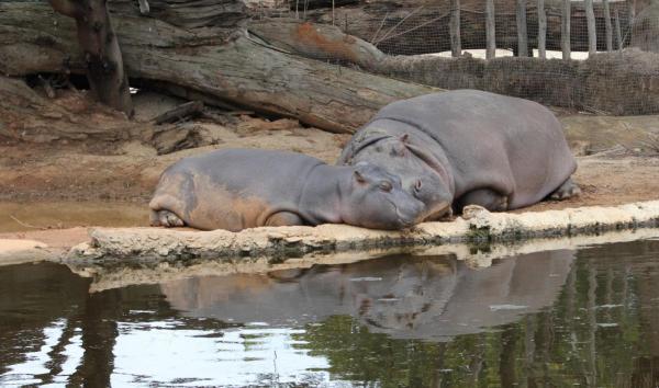 post-4085-0-41446500-1431517183_thumb.jp