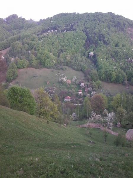 post-4202-0-35993000-1430998945_thumb.jp