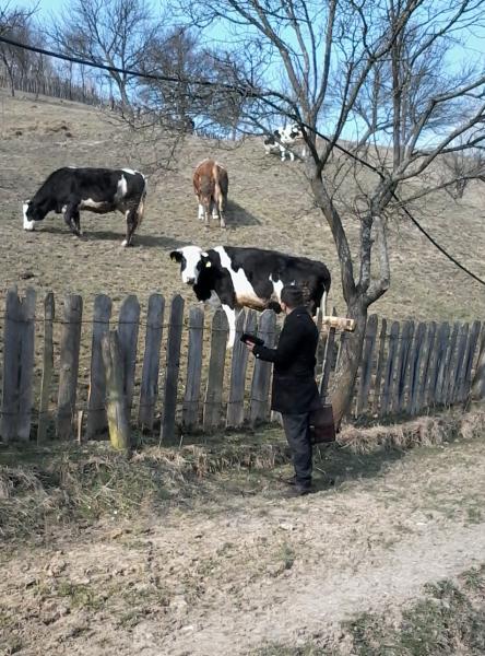 post-4202-0-45627200-1430999343_thumb.jp