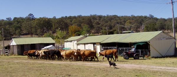 post-4283-0-81645400-1430599954_thumb.jp