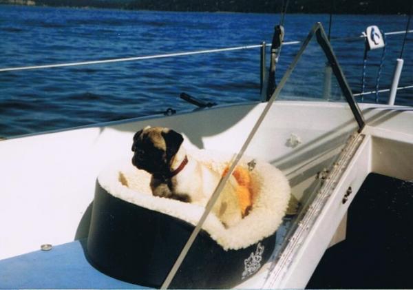 post-4460-0-48805200-1431732849_thumb.jp