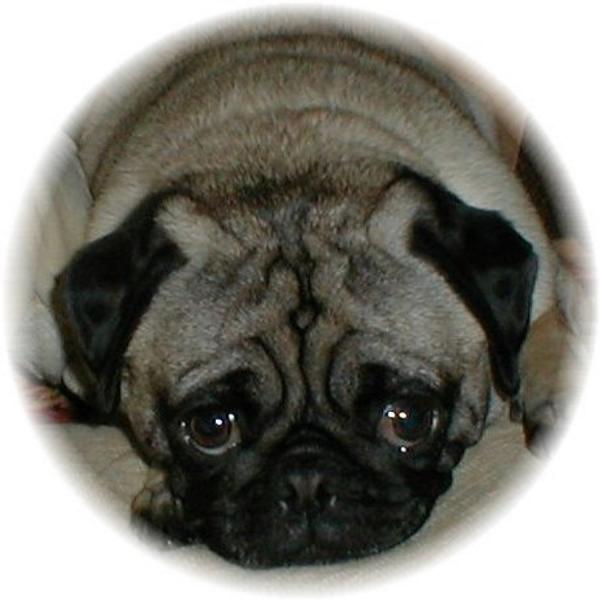 post-4460-0-79735800-1430861528_thumb.jp