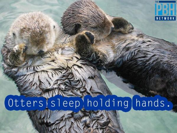 post-5044-0-20200700-1431611423_thumb.jp