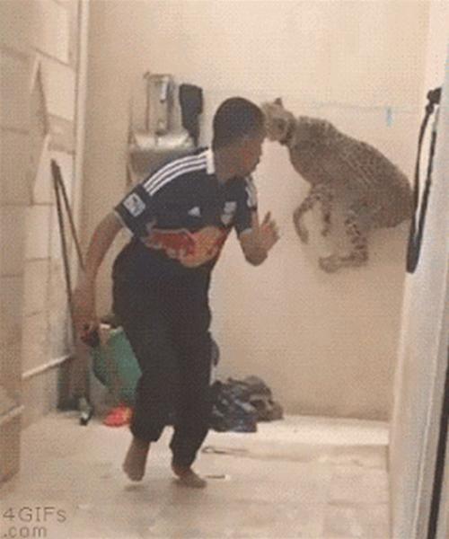 post-5252-0-33167500-1431354382_thumb.jp