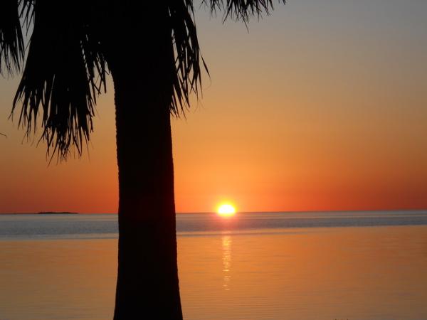 post-3346-0-41023000-1371519505_thumb.jp