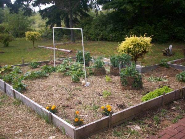 post-1083-0-10907500-1403664532_thumb.jp