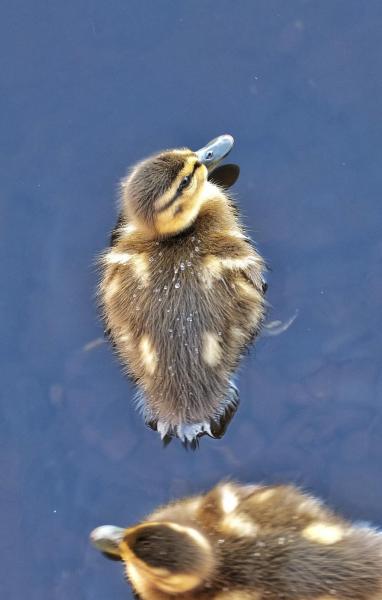 post-2074-0-52464300-1403505704_thumb.jp